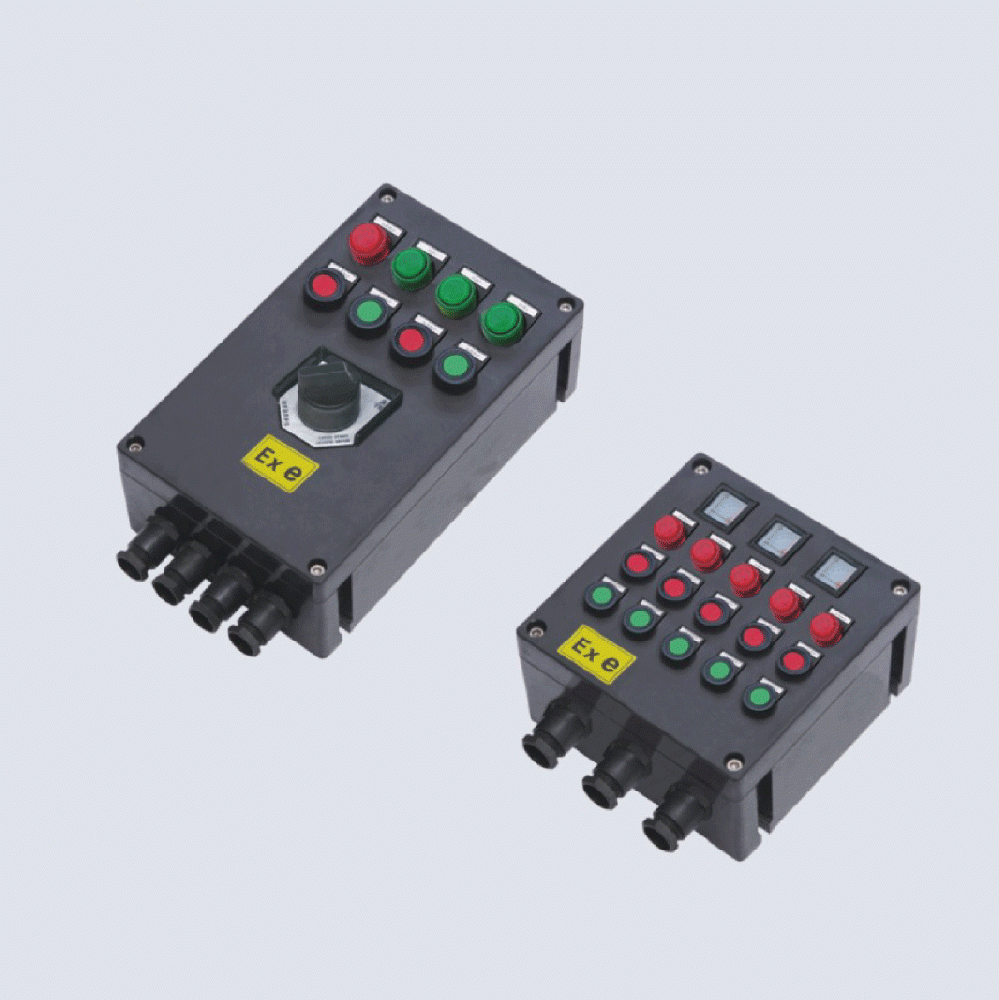 BXK8050-系列防爆防腐控制箱(IIC、 ExtD)